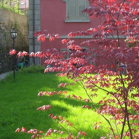 Villa relax in Toscana Pistoia Esterno foto